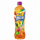 Maestro Kang Bevanda - Tè Rosso Gusto Esotico - 500ml