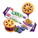 Jsl Biscotti gusto Mirtillo - 93g