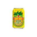 Zhenzhen - Birra di malto Gusto Ananas - 330ml