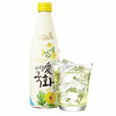 Union Angels - Bevanda Alcolica al gusto crisantemo 6% -330ml