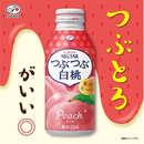 Fujiya - Bevanda alla Pesca Tubutubu - 380ml - Snack Dojo